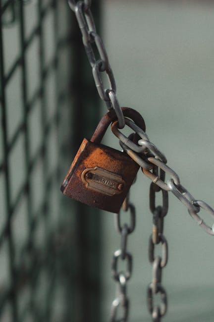 DNS Security Explained: Protecting Against Cache Poisoning, Zone Hijacking, and DNS Tunneling