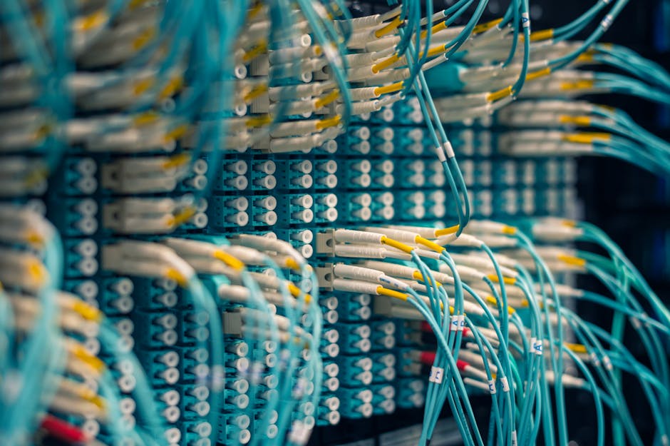 Technician reviewing segmented network with server racks and connected devices